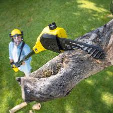 Best Aeration Services  in Hicksville, OH